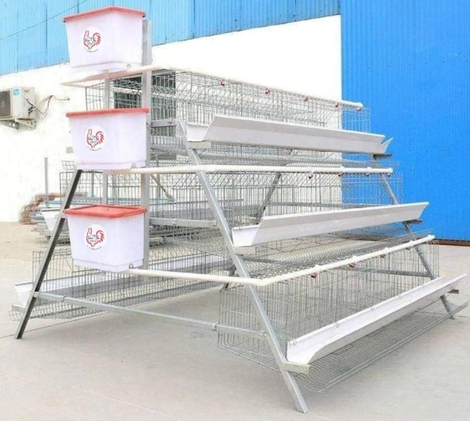 120 Bird Egg Laying Cage For Sale